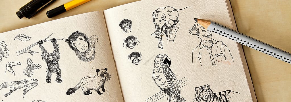 Croquis et illustrations pour la création d'une étiquette de bouteille de Rhum par JA Design - Graphiste freelance Bordeaux