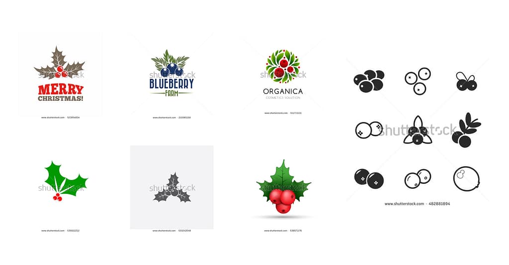Inspirations graphiques fournies pour la création du logo Redberry Biotech