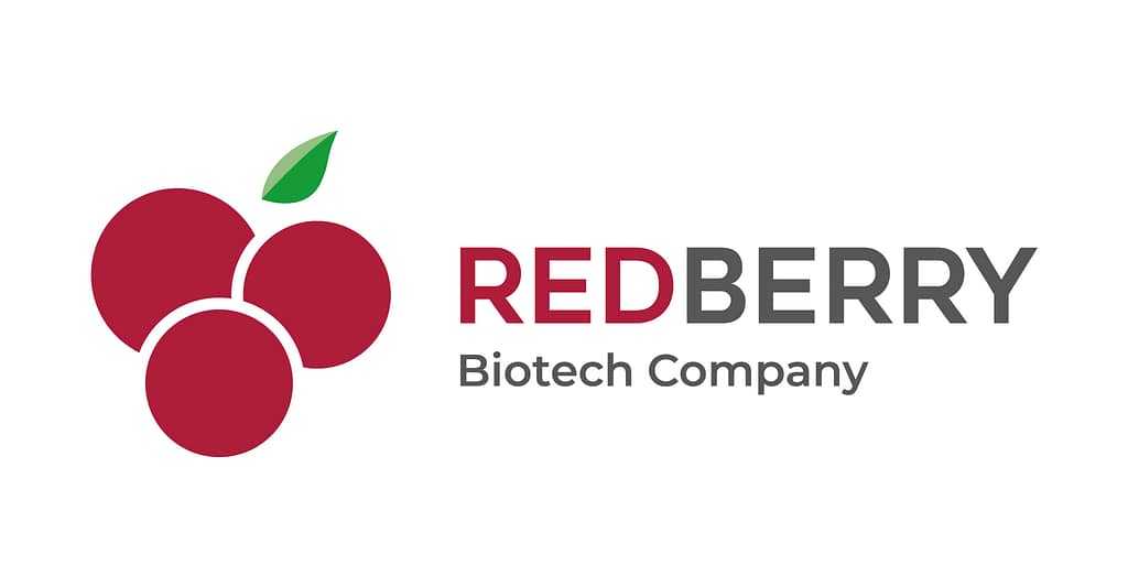 Logo Redberry Biotech créé par JA Design pour une entreprise spécialisée dans le diagnostic médical