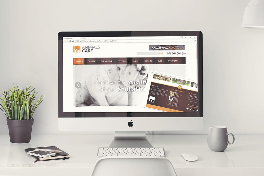 Web Design - Création de Thème et template pour WordPress