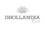 logo dhollandia caire