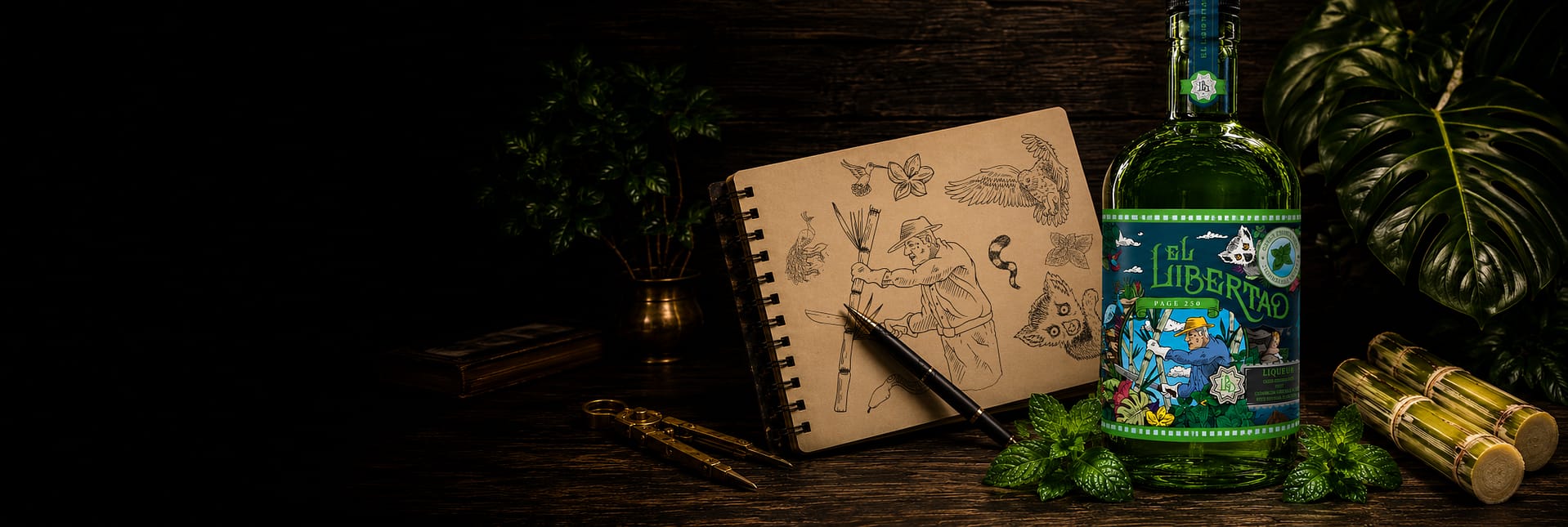 Illustration pour étiquette de bouteille et carnet de croquis réalisés par JA Design, illustrateur à Bordeaux.